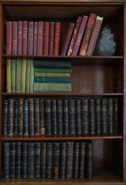 Curated Bookshelf Ornament Set - view 1
